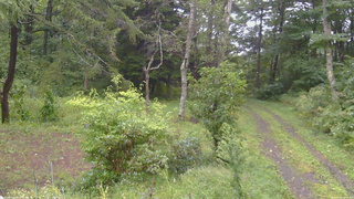 長野県菅平高原 ゆたか山荘 坂上 2026/09/09 14:30