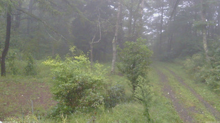長野県菅平高原 ゆたか山荘 坂上 2026/09/09 14:45