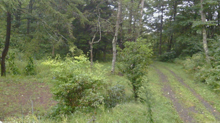 長野県菅平高原 ゆたか山荘 坂上 2026/09/09 15:00