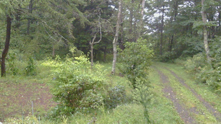 長野県菅平高原 ゆたか山荘 坂上 2026/09/09 15:15