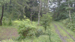 長野県菅平高原 ゆたか山荘 坂上 2026/09/09 15:30