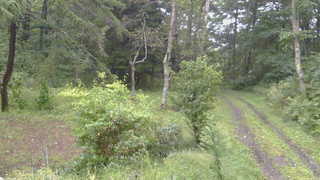 長野県菅平高原 ゆたか山荘 坂上 2026/09/09 16:00