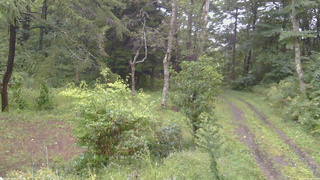 長野県菅平高原 ゆたか山荘 坂上 2026/09/09 16:15