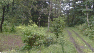 長野県菅平高原 ゆたか山荘 坂上 2026/09/09 16:45