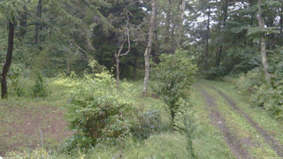 長野県菅平高原 ゆたか山荘 坂上 2026/09/09 17:00