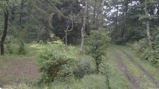 長野県菅平高原 ゆたか山荘 坂上 2026/09/09 17:15
