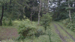 長野県菅平高原 ゆたか山荘 坂上 2026/09/09 17:30