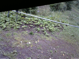 長野県菅平高原 ゆたか山荘 駐車場 2026/09/10 05:45