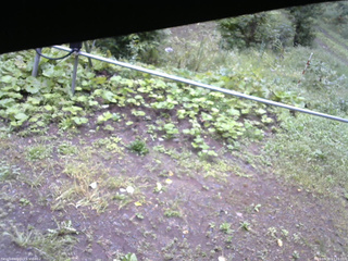 長野県菅平高原 ゆたか山荘 駐車場 2026/09/10 07:15