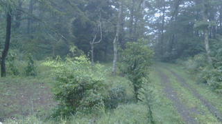 長野県菅平高原 ゆたか山荘 坂上 2026/09/10 05:30