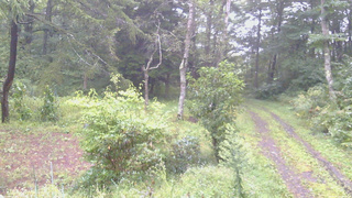 長野県菅平高原 ゆたか山荘 坂上 2026/09/10 05:45