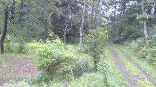 長野県菅平高原 ゆたか山荘 坂上 2026/09/10 06:00