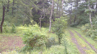 長野県菅平高原 ゆたか山荘 坂上 2026/09/10 06:30