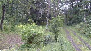 長野県菅平高原 ゆたか山荘 坂上 2026/09/10 06:45