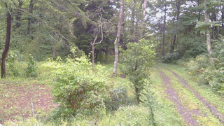 長野県菅平高原 ゆたか山荘 坂上 2026/09/10 07:00