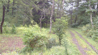長野県菅平高原 ゆたか山荘 坂上 2026/09/10 07:15