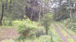 長野県菅平高原 ゆたか山荘 坂上 2026/09/10 07:45