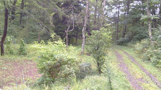 長野県菅平高原 ゆたか山荘 坂上 2026/09/10 08:00