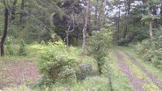 長野県菅平高原 ゆたか山荘 坂上 2026/09/10 08:15