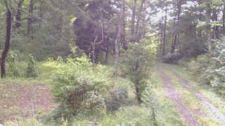長野県菅平高原 ゆたか山荘 坂上 2026/09/10 08:30