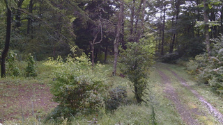 長野県菅平高原 ゆたか山荘 坂上 2026/09/10 08:45