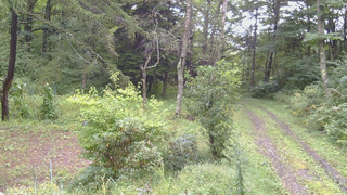 長野県菅平高原 ゆたか山荘 坂上 2026/09/10 09:00