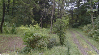 長野県菅平高原 ゆたか山荘 坂上 2026/09/10 09:15