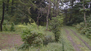 長野県菅平高原 ゆたか山荘 坂上 2026/09/10 09:30
