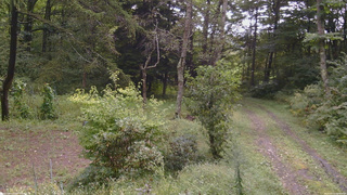 長野県菅平高原 ゆたか山荘 坂上 2026/09/10 09:45