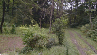 長野県菅平高原 ゆたか山荘 坂上 2026/09/10 10:00
