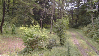 長野県菅平高原 ゆたか山荘 坂上 2026/09/10 10:15