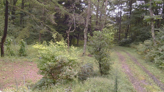 長野県菅平高原 ゆたか山荘 坂上 2026/09/10 10:30