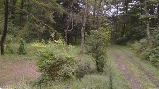 長野県菅平高原 ゆたか山荘 坂上 2026/09/10 10:45