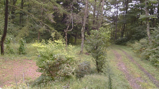 長野県菅平高原 ゆたか山荘 坂上 2026/09/10 11:00