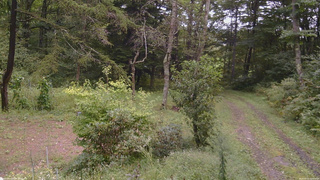 長野県菅平高原 ゆたか山荘 坂上 2026/09/10 11:15