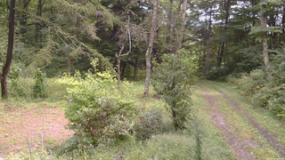 長野県菅平高原 ゆたか山荘 坂上 2026/09/10 11:30