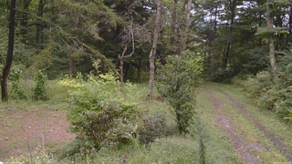 長野県菅平高原 ゆたか山荘 坂上 2026/09/10 11:45