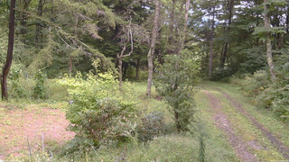 長野県菅平高原 ゆたか山荘 坂上 2026/09/10 12:00