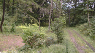 長野県菅平高原 ゆたか山荘 坂上 2026/09/10 12:15