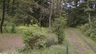 長野県菅平高原 ゆたか山荘 坂上 2026/09/10 12:45