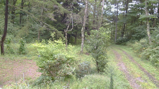長野県菅平高原 ゆたか山荘 坂上 2026/09/10 13:00