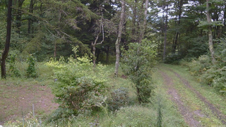 長野県菅平高原 ゆたか山荘 坂上 2026/09/10 13:15