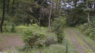 長野県菅平高原 ゆたか山荘 坂上 2026/09/10 13:30