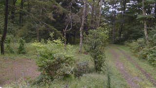長野県菅平高原 ゆたか山荘 坂上 2026/09/10 14:00