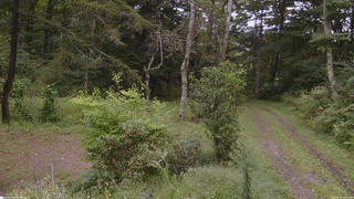 長野県菅平高原 ゆたか山荘 坂上 2026/09/10 14:15