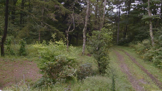 長野県菅平高原 ゆたか山荘 坂上 2026/09/10 14:30