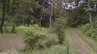 長野県菅平高原 ゆたか山荘 坂上 2026/09/10 14:45