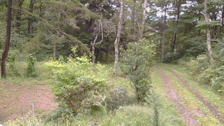 長野県菅平高原 ゆたか山荘 坂上 2026/09/10 15:00