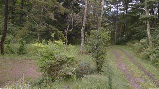 長野県菅平高原 ゆたか山荘 坂上 2026/09/10 15:15