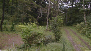 長野県菅平高原 ゆたか山荘 坂上 2026/09/10 15:30